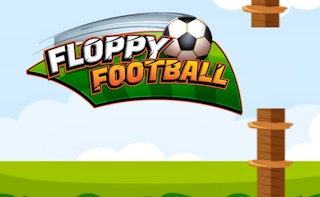 Image Floppy Football